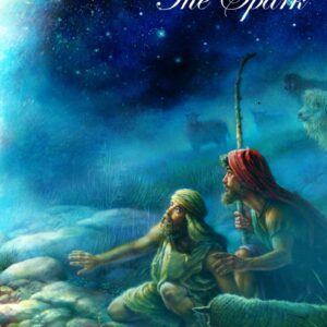 The Spark